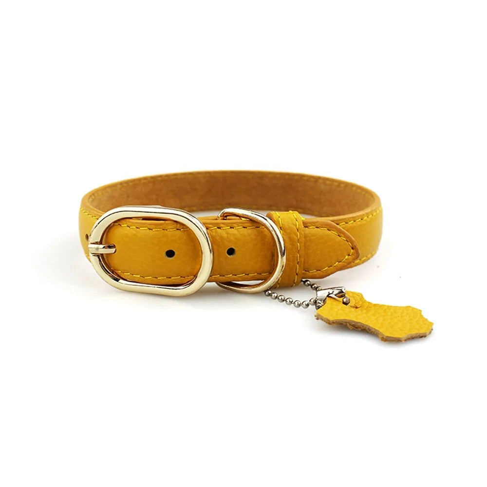 Personalized Genuine Leather Dog Collar